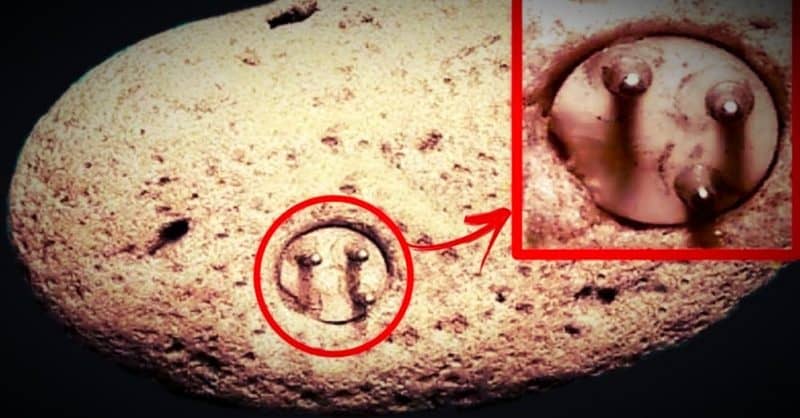 A 100,000-year-old electrical component in a rock?