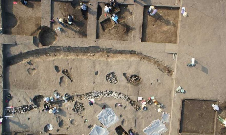 Did China Host Mysterious Egg-Headed People 12,000 Years Ago?