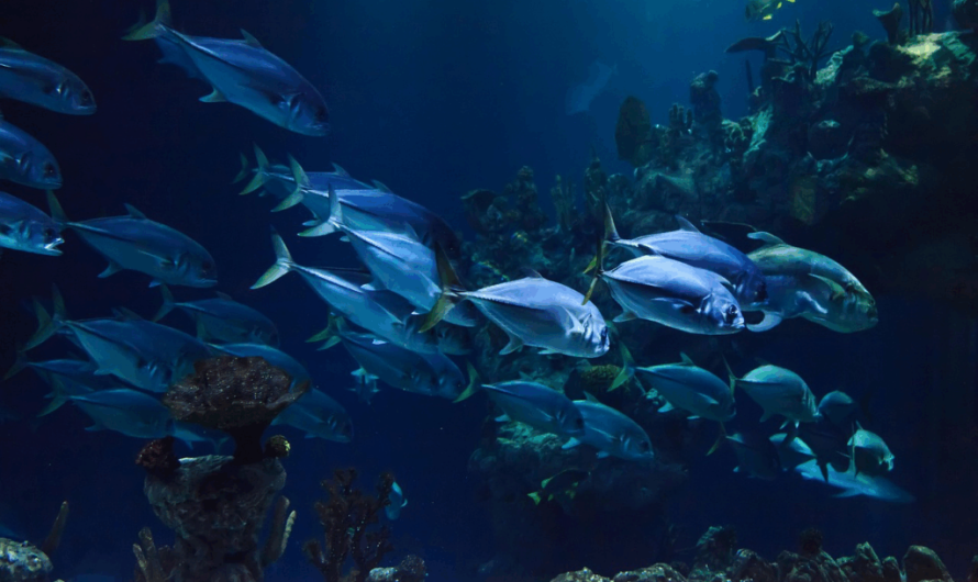 Scientists Discover Depths of the Red Sea — Their Findings Were Startling