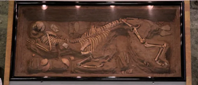 Uncovering Legends: The Myth of the Centaur Skeleton in Greece