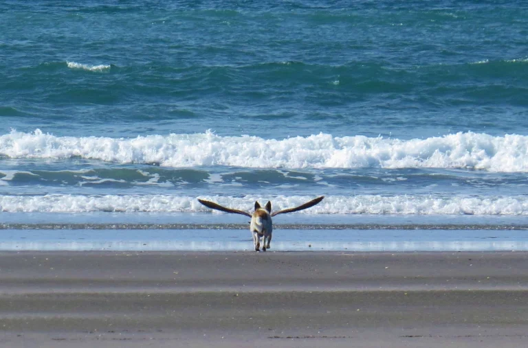 The 28 Perfectly Timed Photos That Will Make You Look Twice