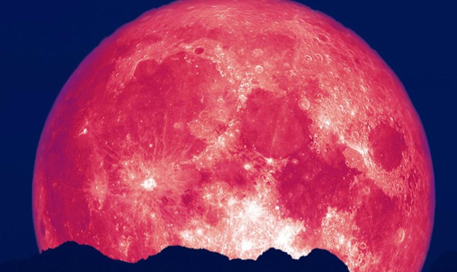 Strawberry Moon 2025: When and How to See June’s Sweetest Full Moon