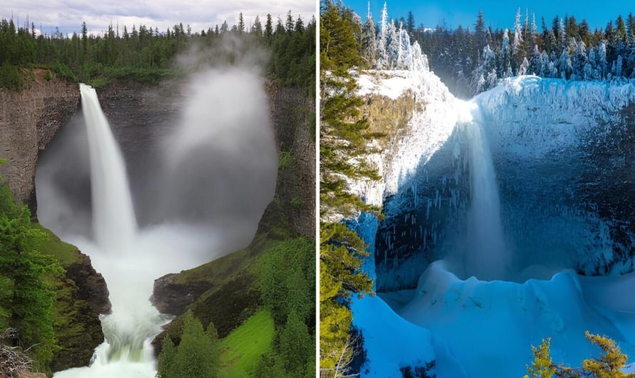 Unveiling the Truth Behind Helmcken Falls’ Ice Cone Marvel