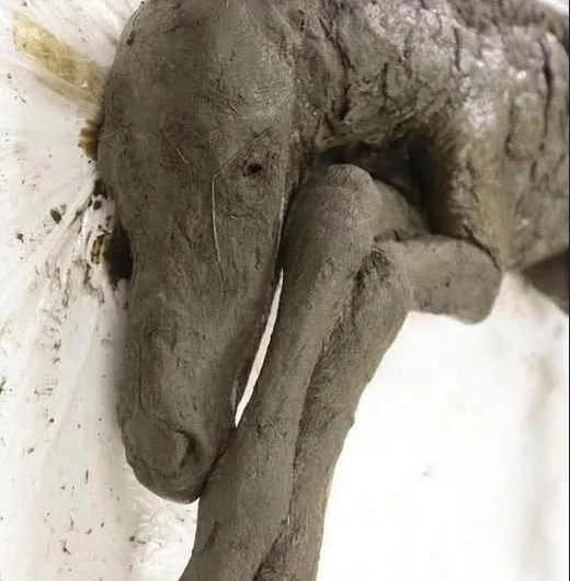 Scientists Aim to Clone Extinct Lena Horse from 42,000-Year-Old Foal Found in Siberian Permafrost