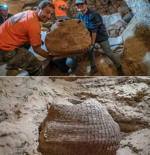 World’s Oldest Woven Basket Unearthed in Judean Desert