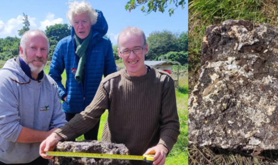 Irish Farmer Unearths 50-Pound Chunk of Ancient Bog Butter in Donegal