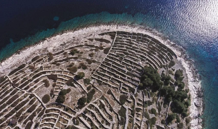 Baljenac: Croatia’s Fingerprint Island Shaped by Ancient Stone Walls
