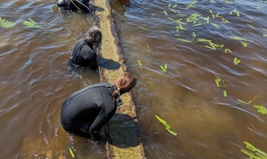 1,000-Year-Old Native American Canoe Resurfaces from Lake Waccamaw: A Touchstone of History