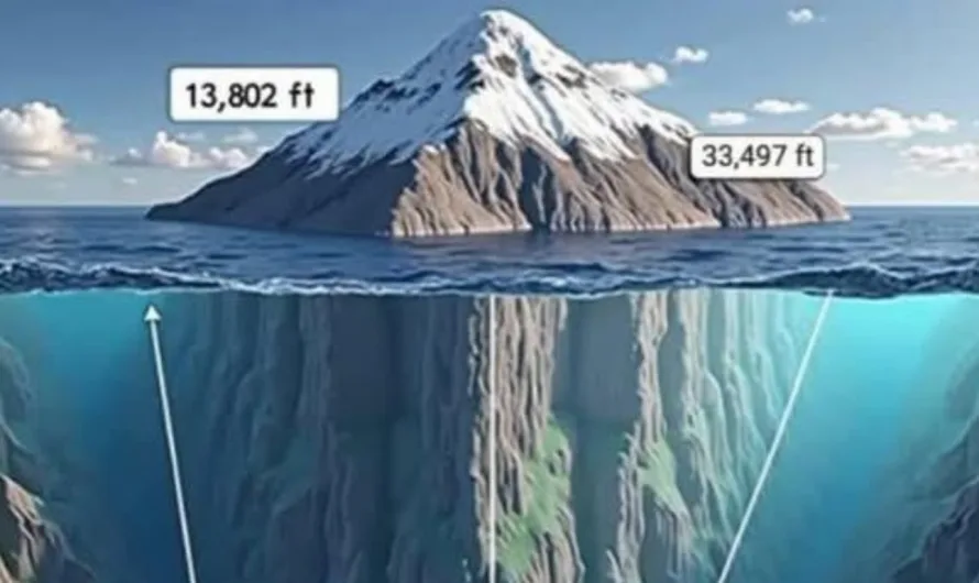 The True Giant of the Earth: Mauna Kea vs. Mount Everest