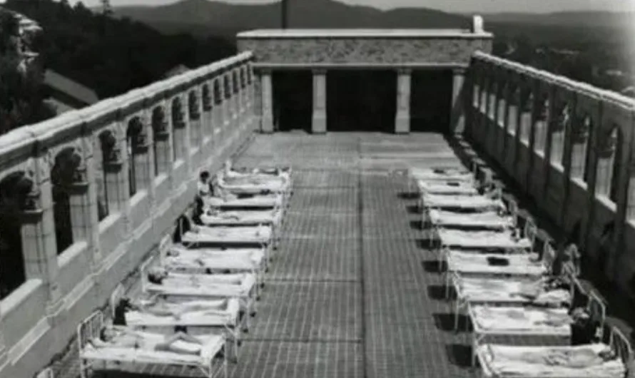 Why Old Hospitals Had Sun Decks: The Healing Power of Sunlight