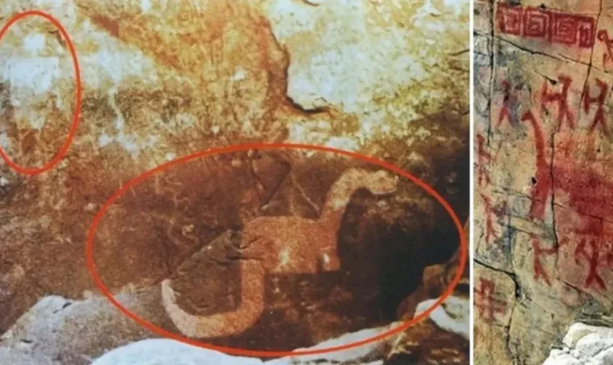 Did Humans Ever See Dinosaurs? A Look at the Evidence