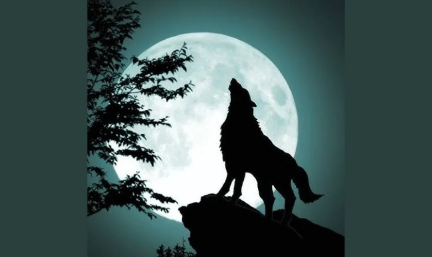 The Wolf Moon: January’s Full Moon and Its Rhythms